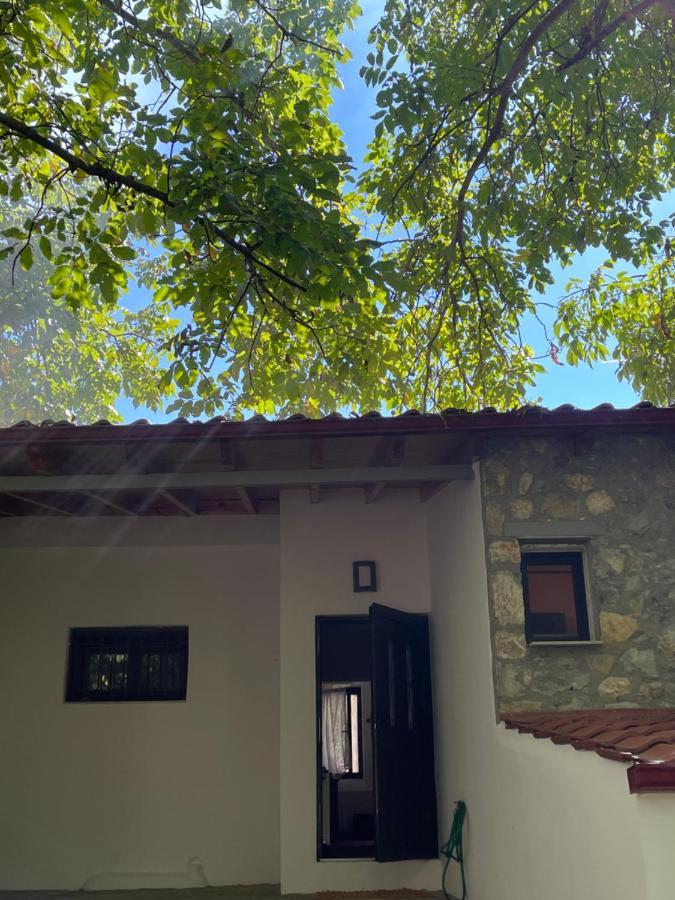 Stymfalia Cozy Village Guesthouse Karteri  Екстер'єр фото